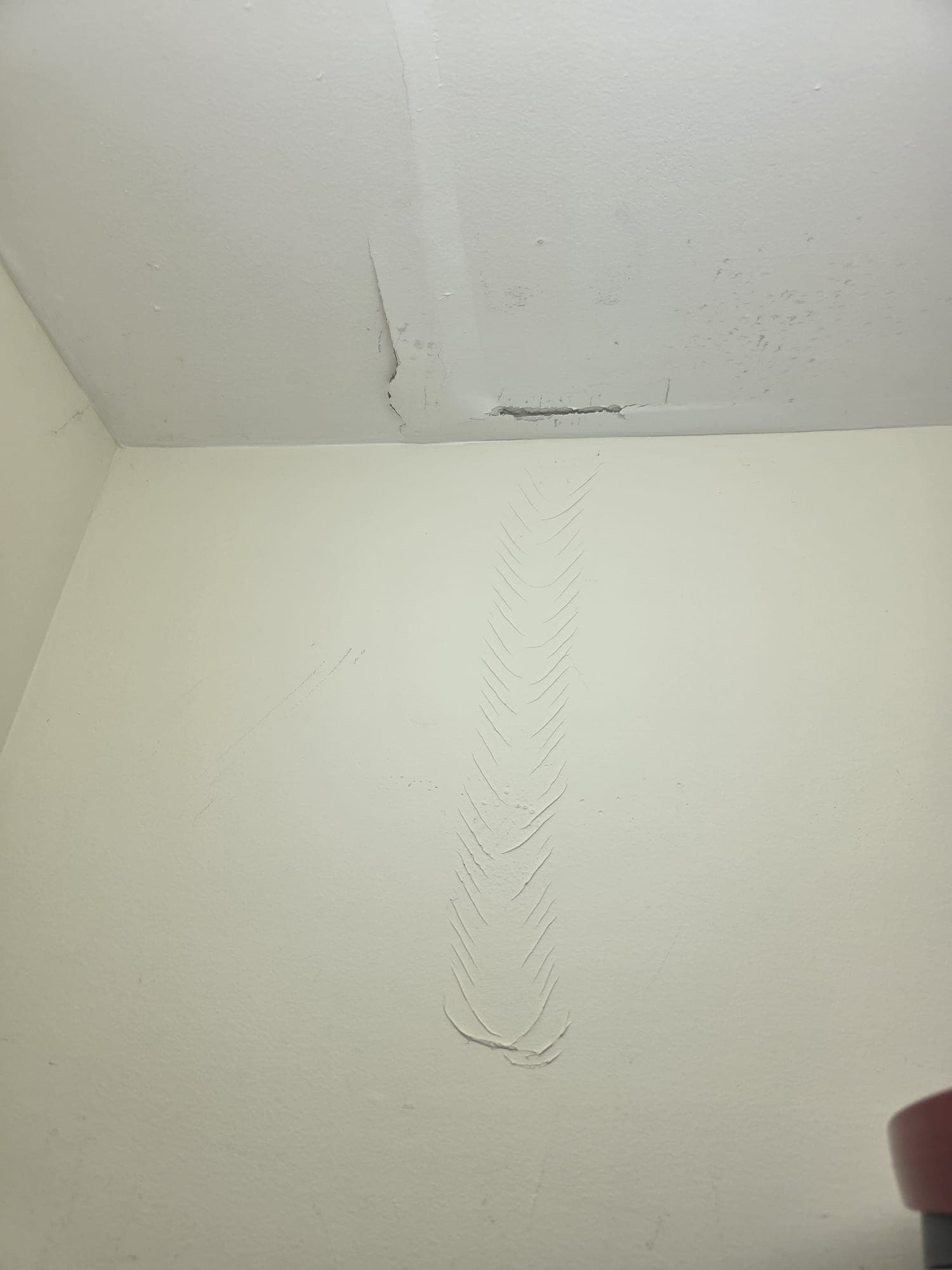 IMG 20260620 WA0014