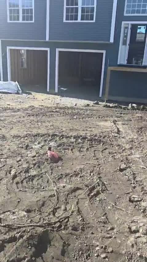 VID 20260620 WA0066